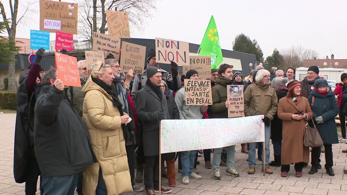 Poulailler géant de Sarry : les opposants ripostent en justice après l ...