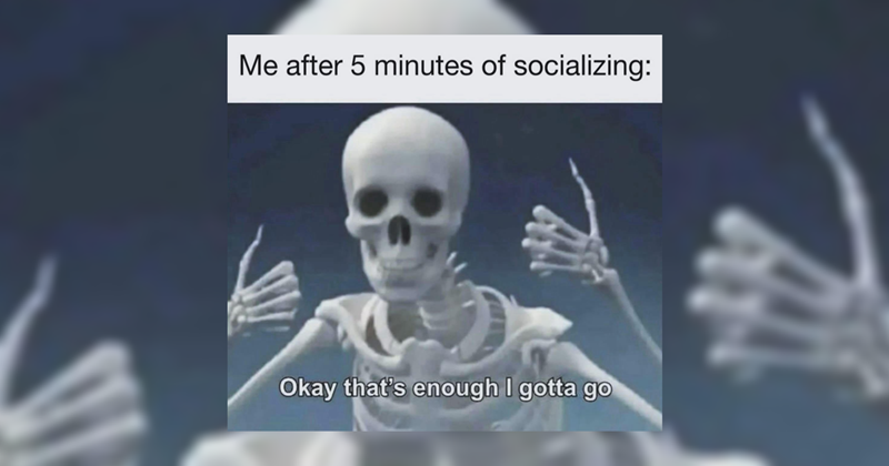 29 different memes for 29 different moments