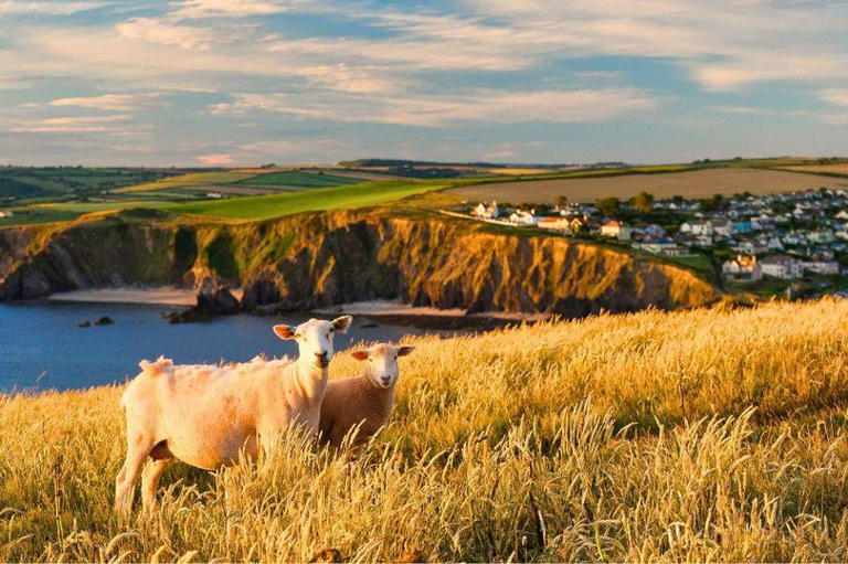 UK's most beautiful train journey has been named and it is in Devon
