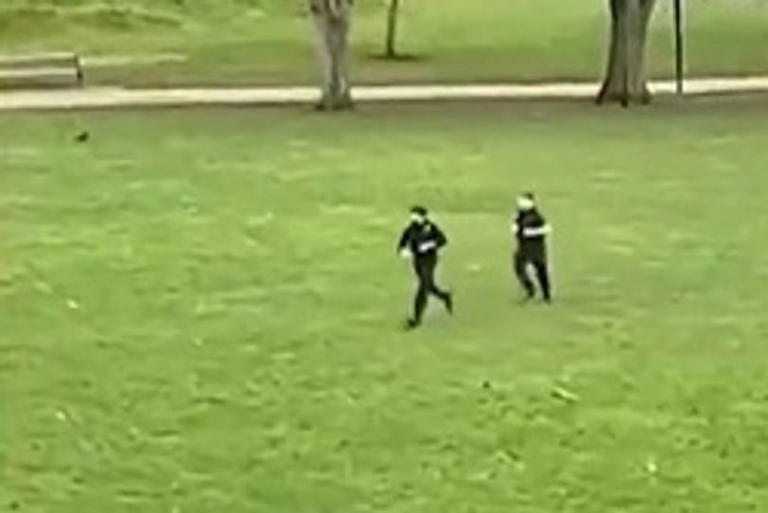 Dramatic moment police swoop on man in park after attack on officer