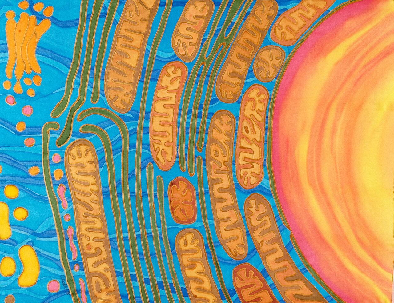 Stimulating mitochondria to boost long-term memory