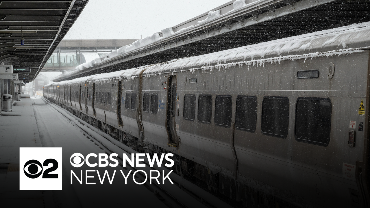 NJ Transit CEO talks about modified schedule after snowstorm