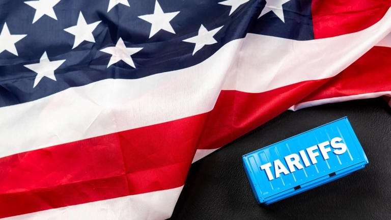 Tesla, Nucor and these companies may be safest from Trump's tariff shock