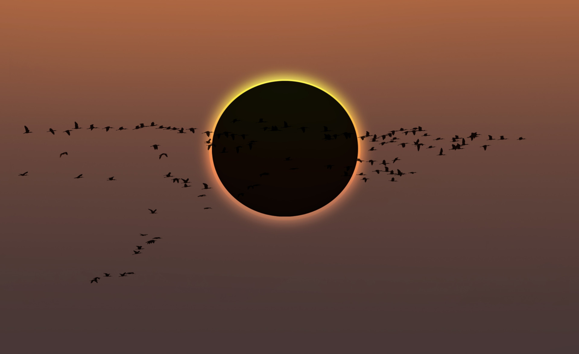 Weird things that happen during a solar eclipse