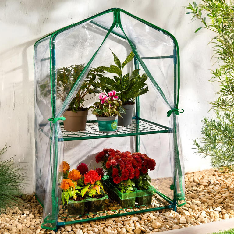 B&M’s range of mini greenhouses means the smallest of gardens can have ...