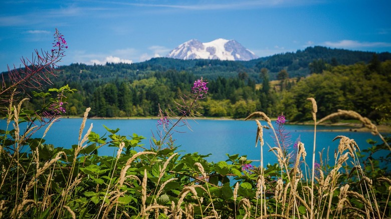 Between Seattle and Portland is a Washington lake known for scenic swim ...