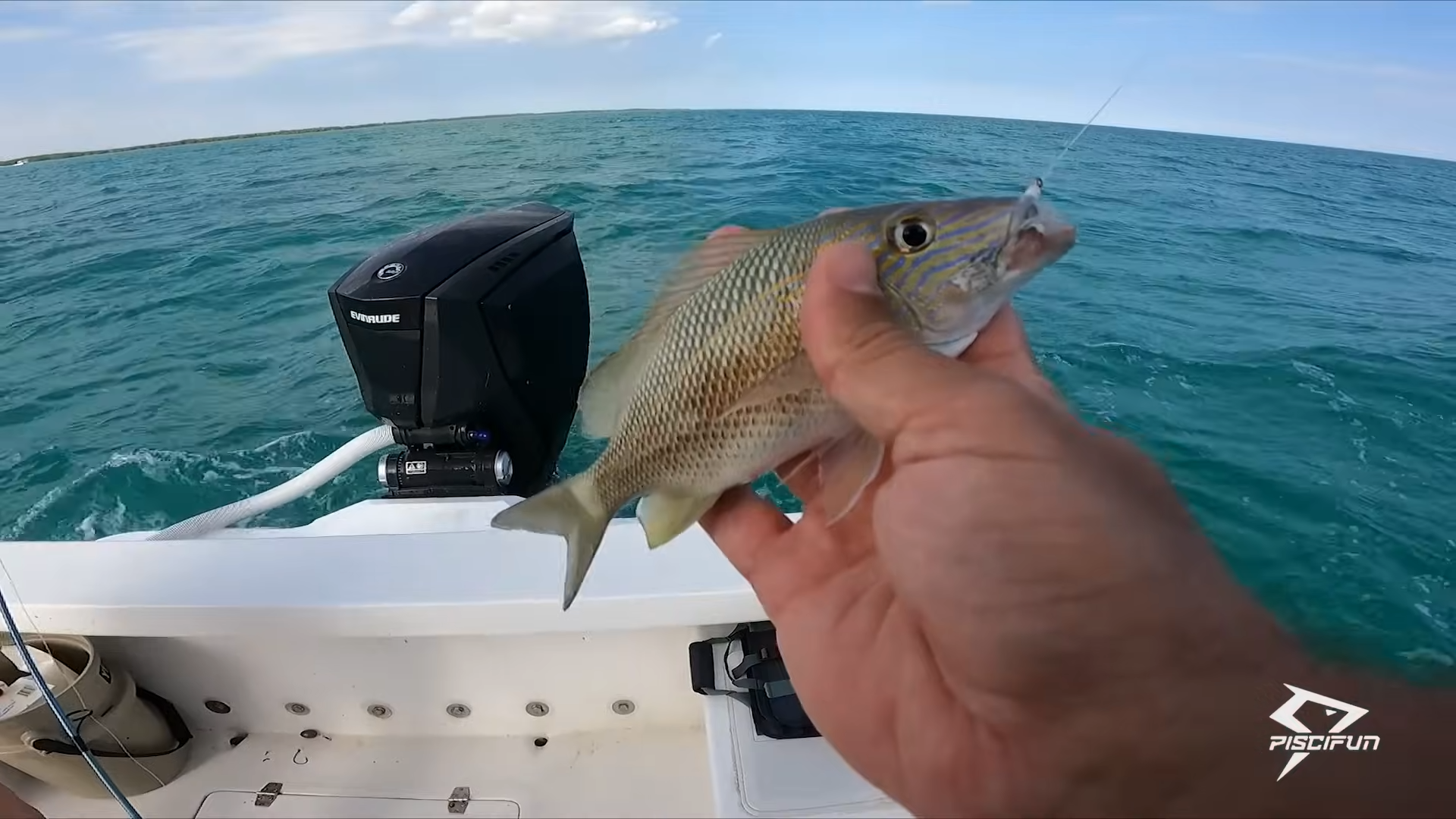 The simple way to catch fish for food
