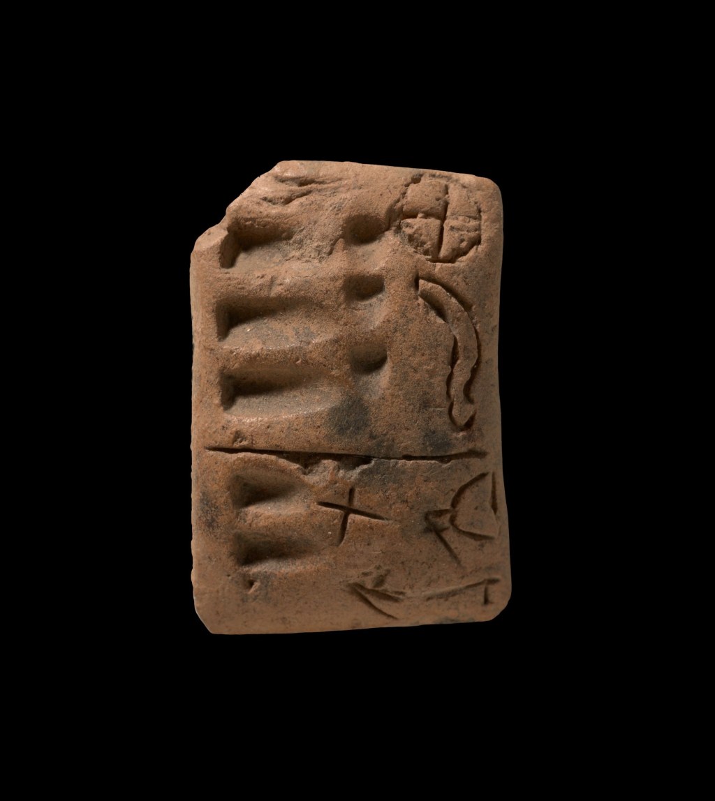 Scientists discover oldest form of writing in mysterious Stone Age engravings