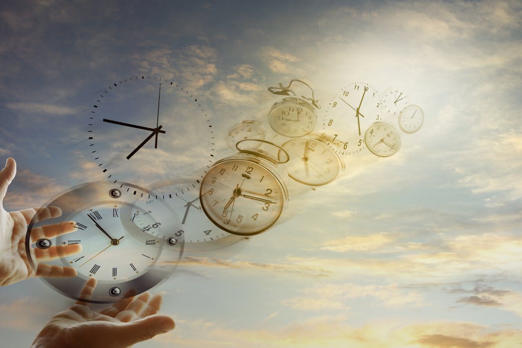 Animals’ perception of time is linked to the pace of their life – new study