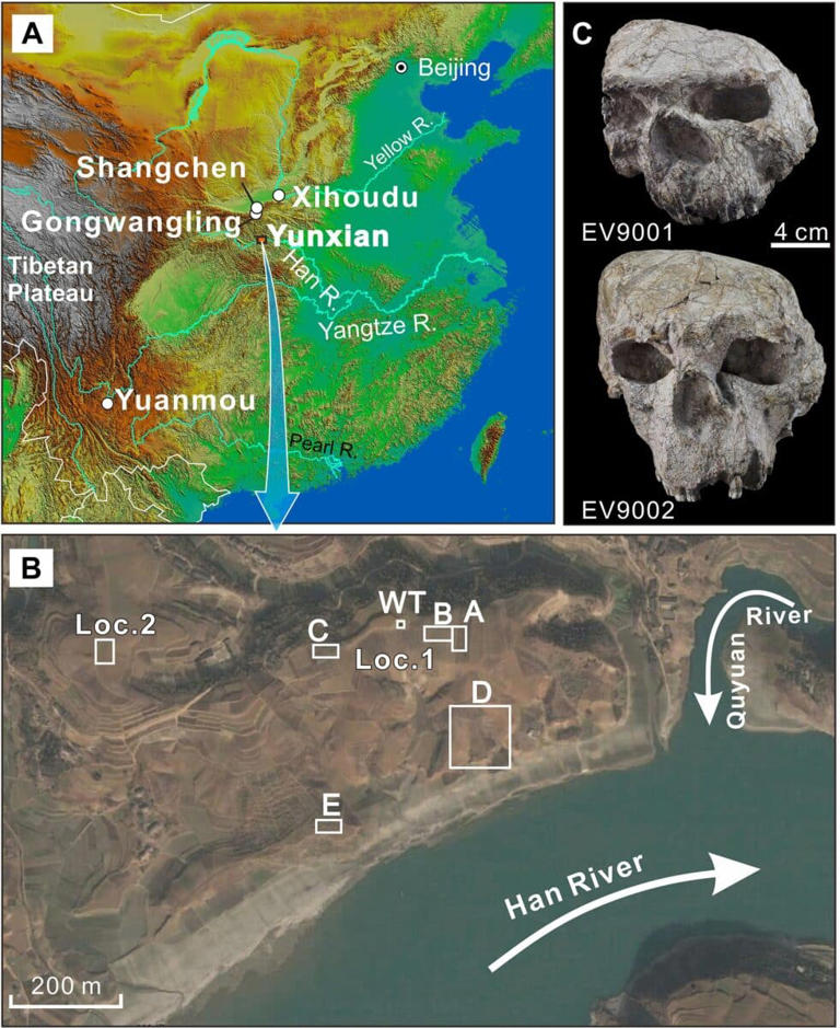 A team in China just redated the oldest human skulls, and discovered a ...