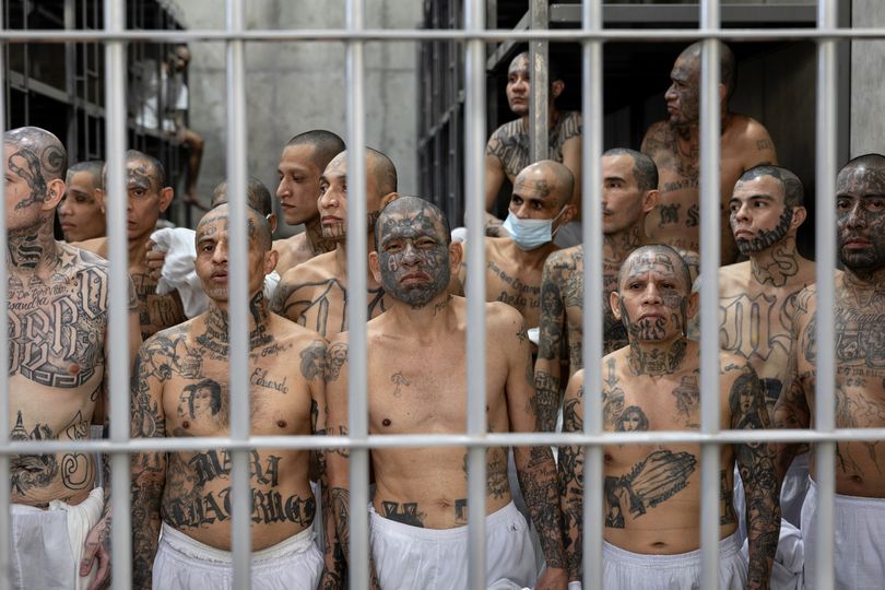 From Mexican cartel to British mob – the 19 most powerful gangs in ...