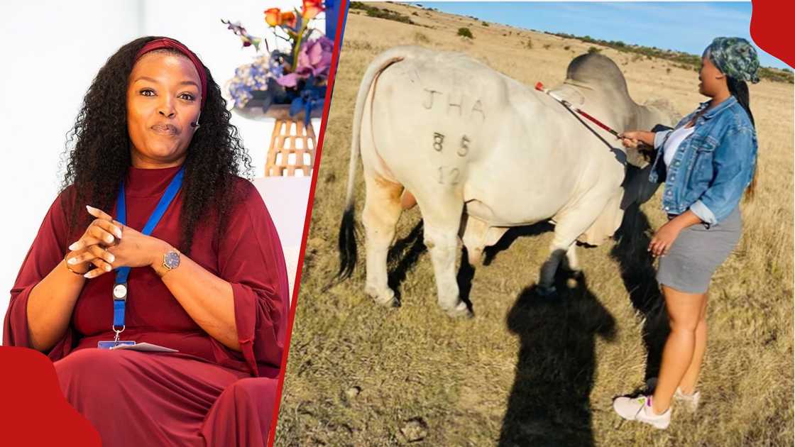 Linda Mthalane shares her cattle farming journey. Photo: Linda Mthalane. Source: Facebook