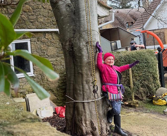 Moment pensioner, 73, ties herself to her neighbour's 50ft tree in bid ...