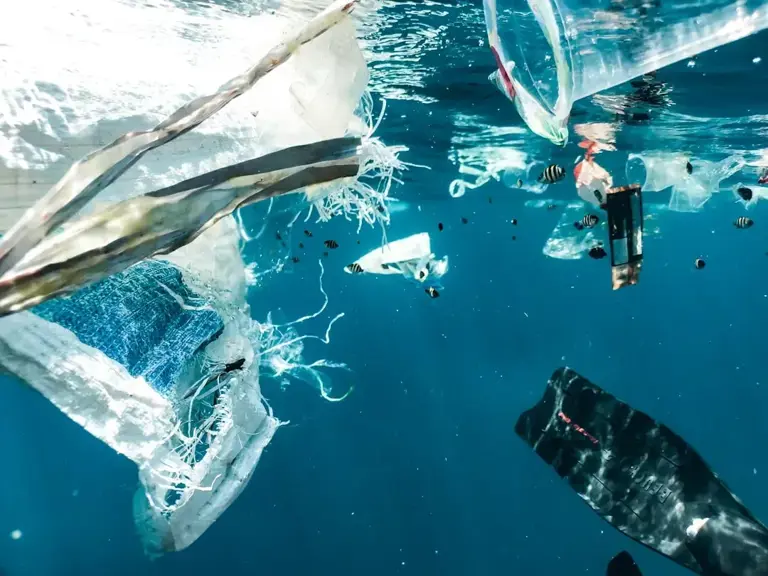 The microplastic in your salt: 5 brands that tested the highest