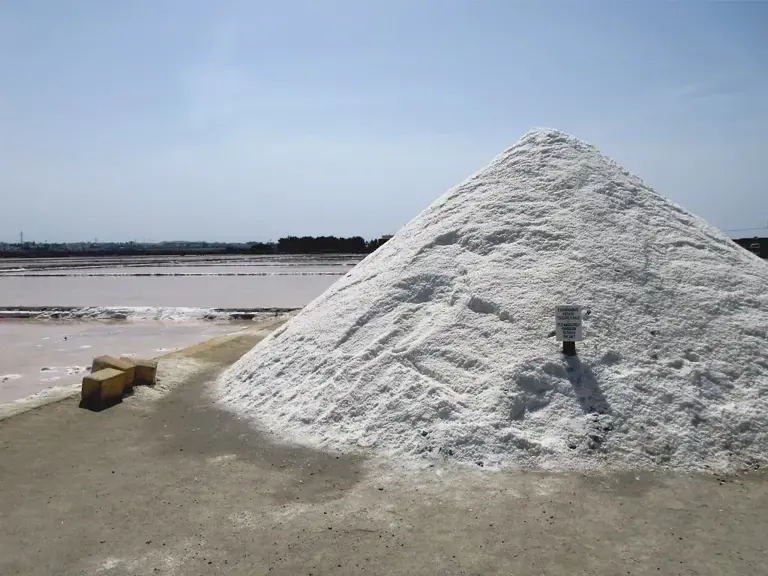 The microplastic in your salt: 5 brands that tested the highest