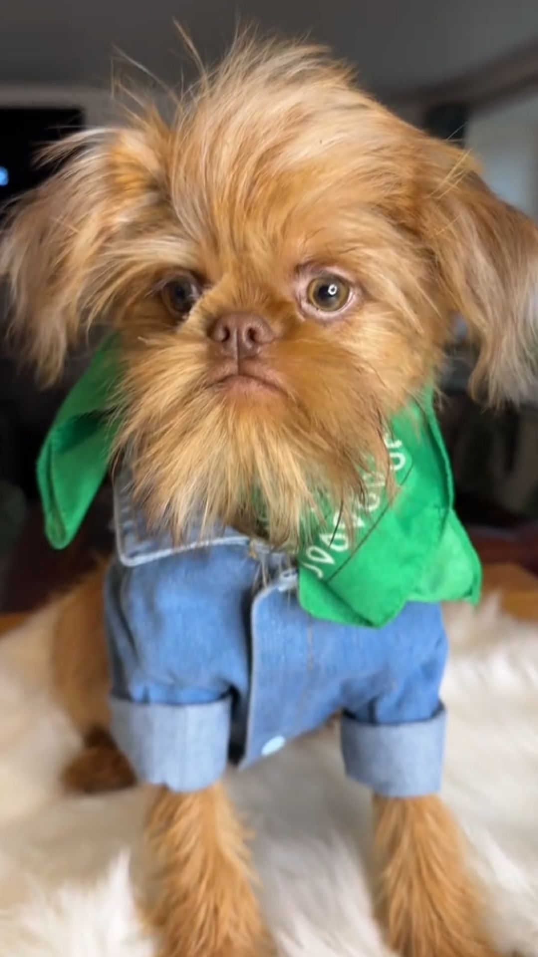 What would you do if he knocked on your door?