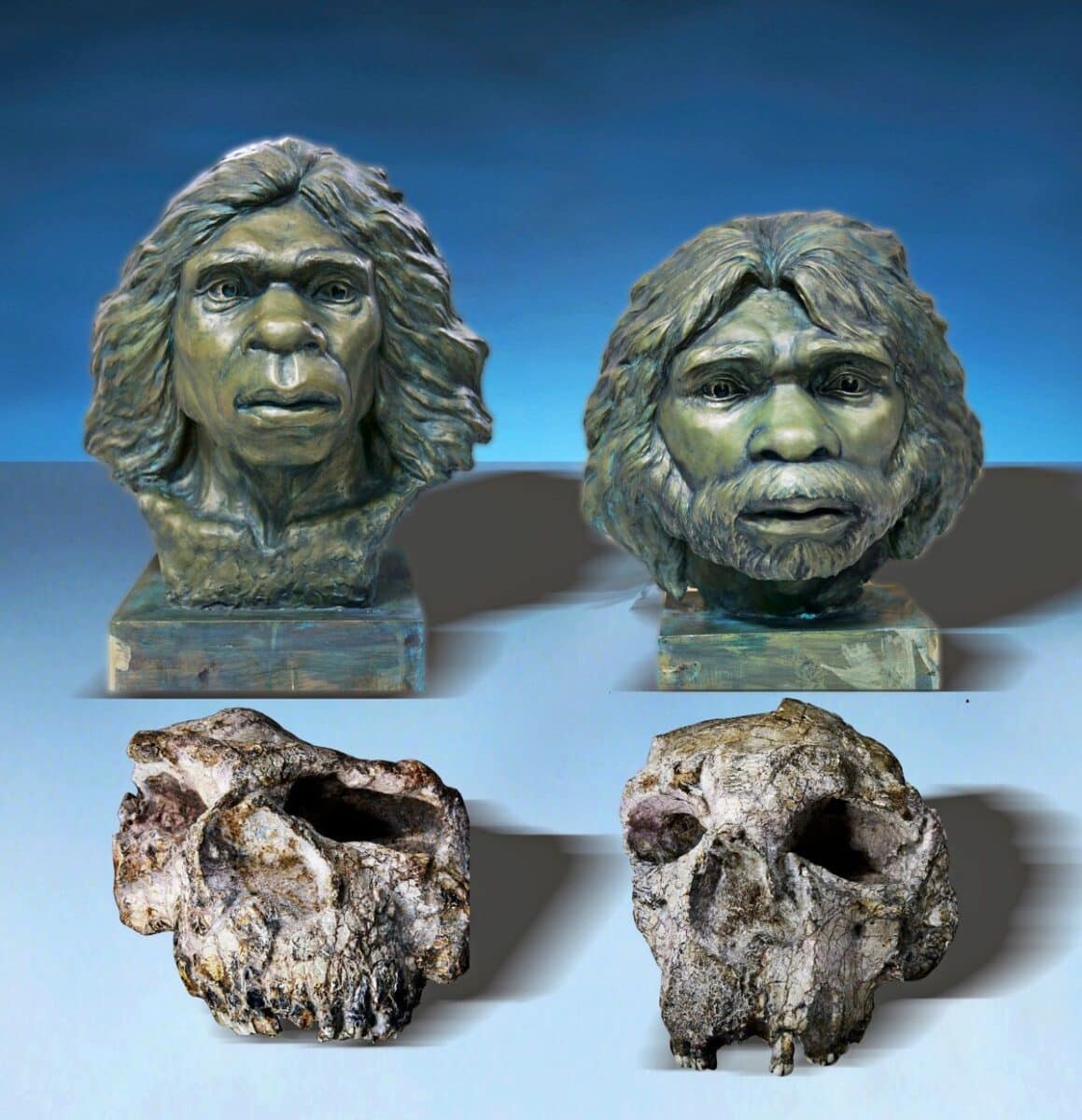 A team in China just redated the oldest human skulls, and discovered a ...