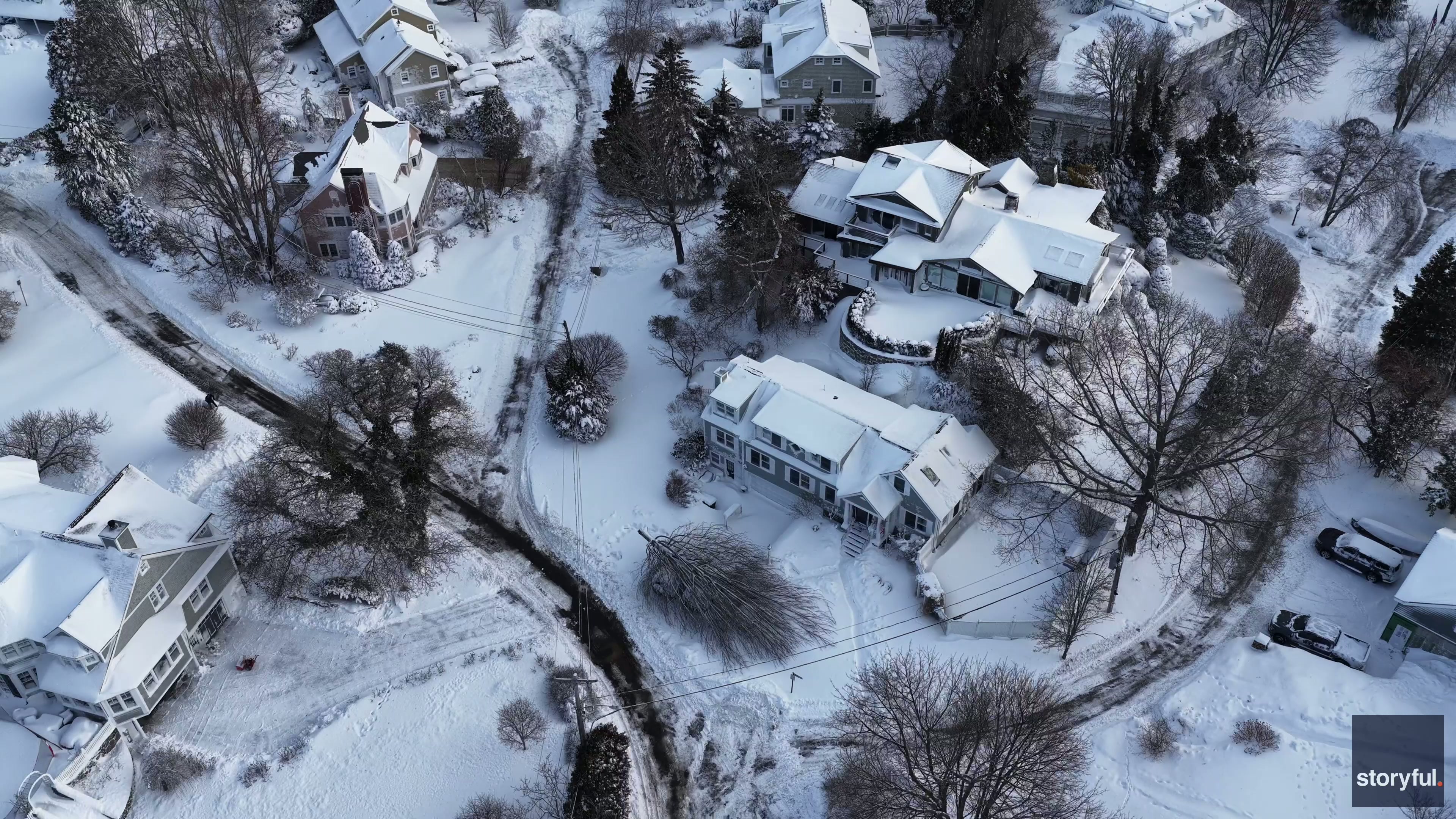 Toppled trees, power outages in Massachusetts after blizzard