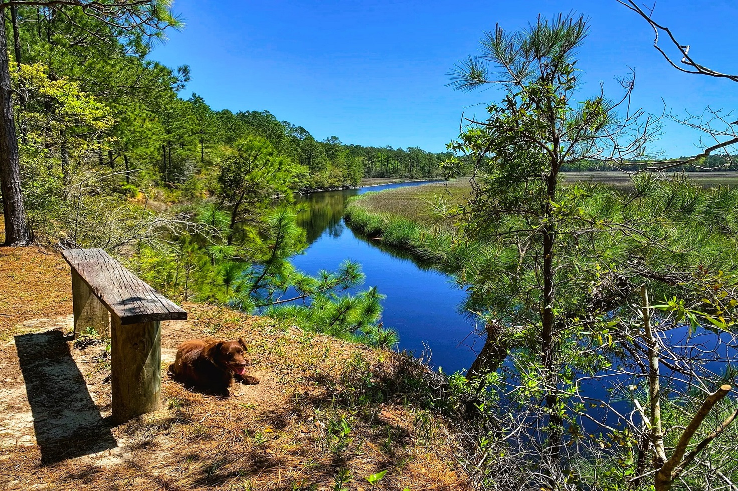 This South Carolina hot spring is the must-book activity this spring