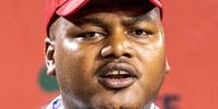 EFF hauls Manamela to court over 'irrational' 24-hour reappointment of ...
