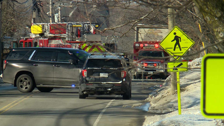 Man charged with animal cruelty in Westbrook crash that killed dog