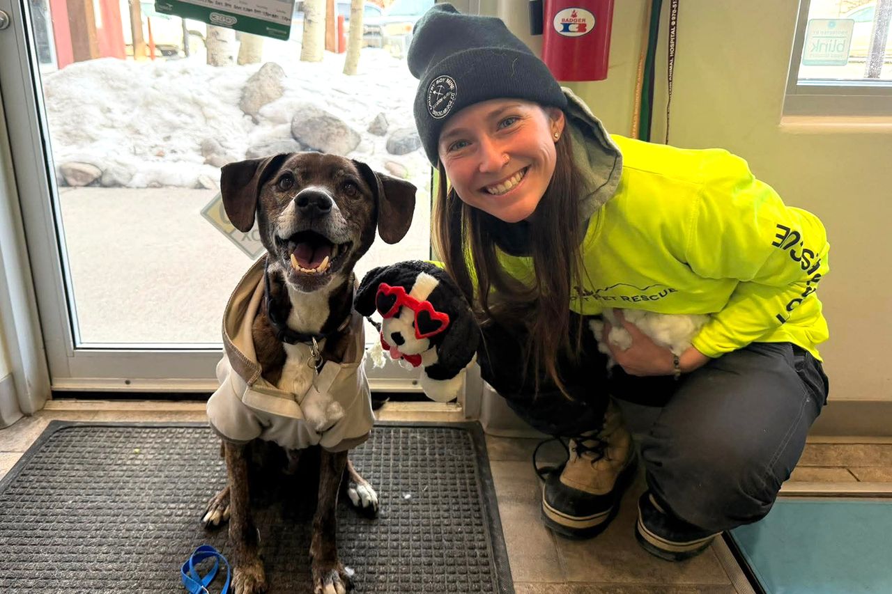 Dog missing for 43 days in Colorado wilderness found 'extremely ...