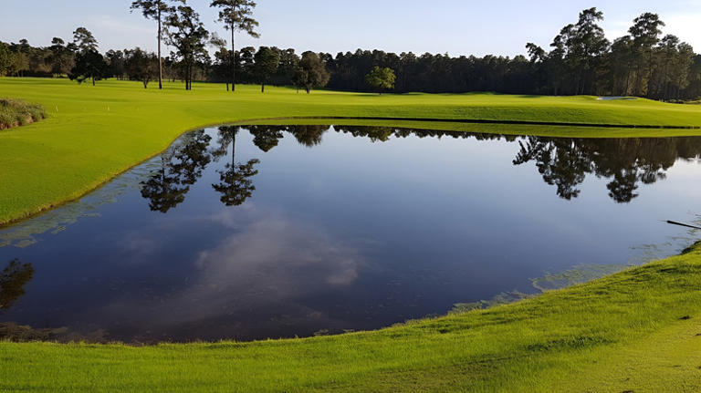Texas' 5 must-play golf courses in Houston, according to reviews