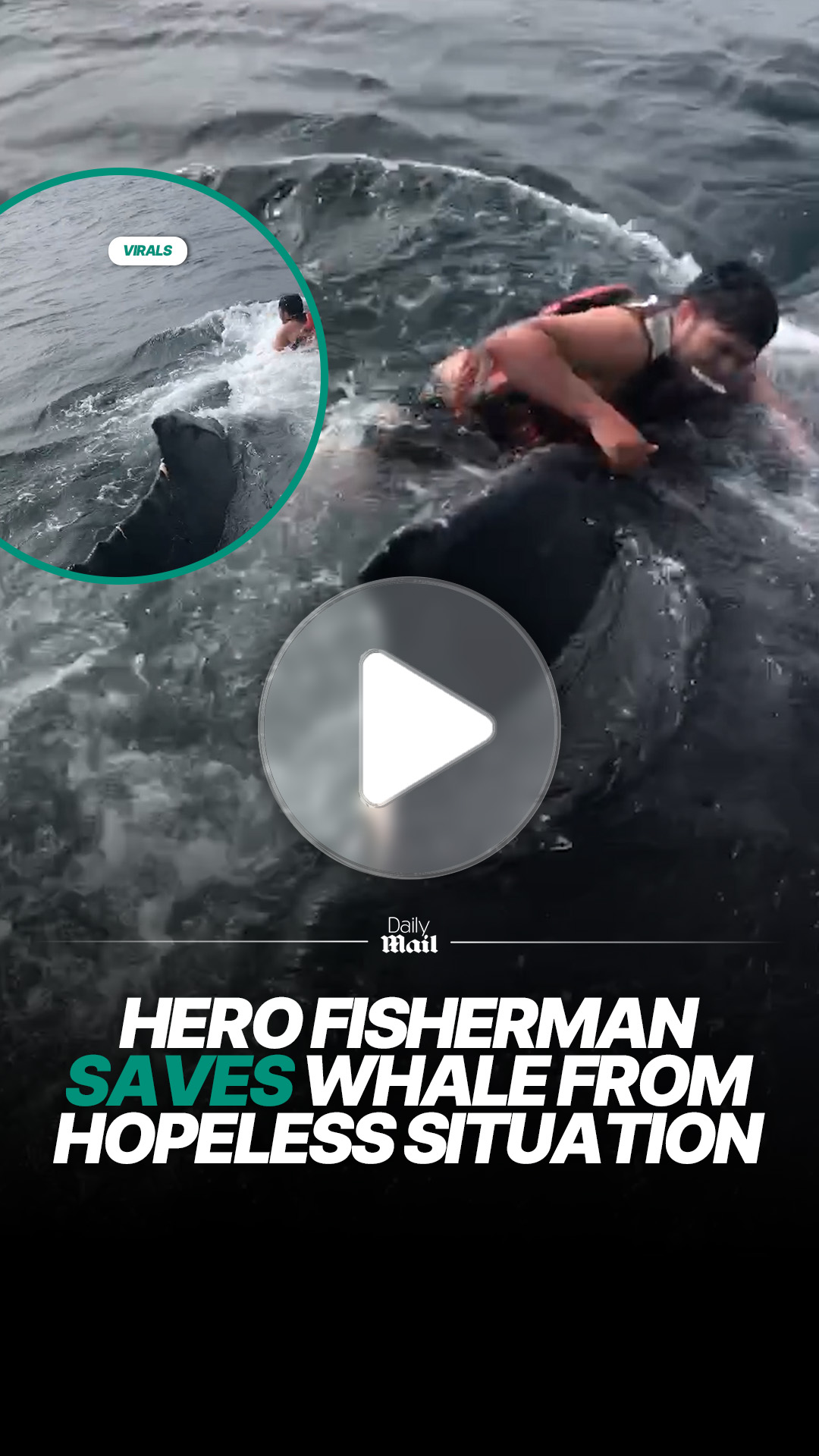 Fisherman helps free whale in rescue effort