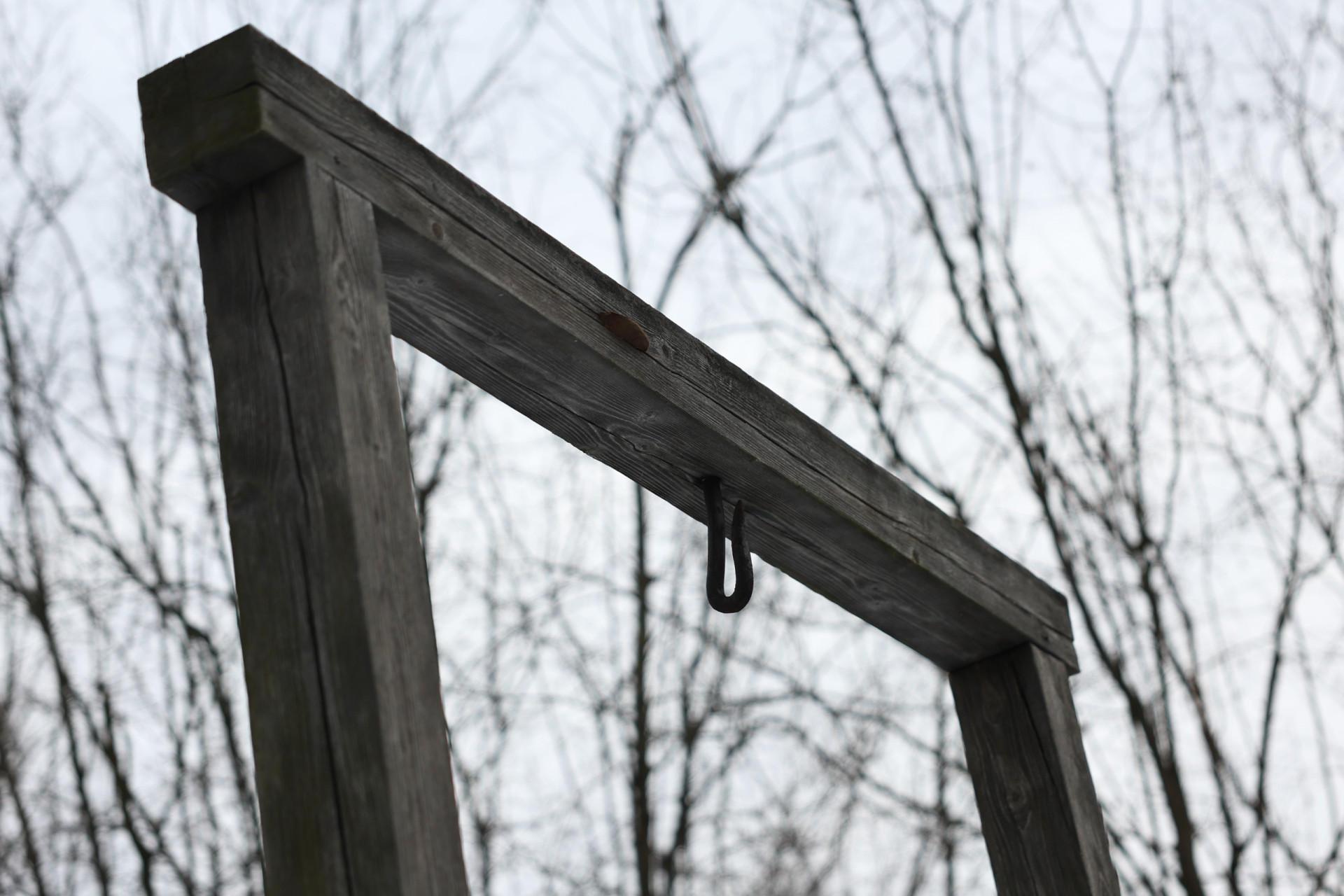 Surprising facts about the death penalty