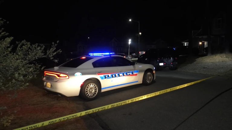 Fayetteville teen charged with murder in stabbing death of mother