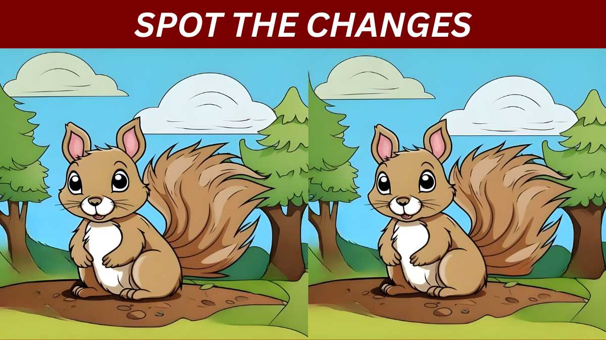 Spot the differences: Find the 3 changes in this squirrel illustration