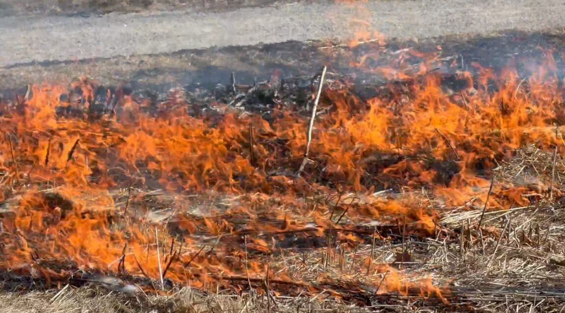 Spring prescribed burn season underway in Iowa as landowners learn to ...