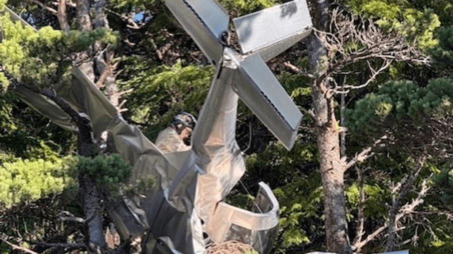 Single-passenger airplane crashes into tree line in Lincoln County