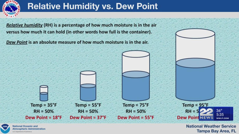 Experts give tips on maintaining humidifiers for winter air