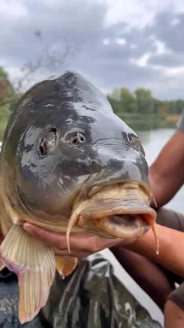 Epic fishing moments | Biggest catches and viral fish clips