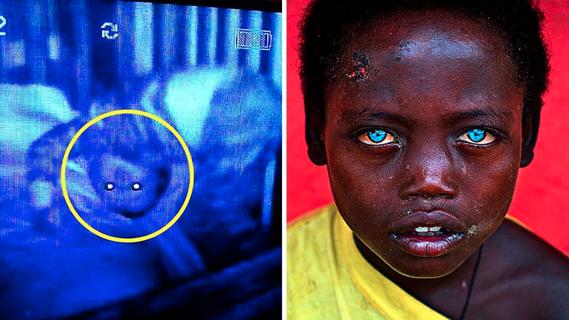 They laughed at her to her face, two years later, no one was laughing
