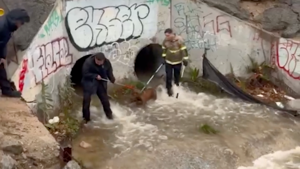 Firefighters rescue dog trapped in San Bernardino County storm drain