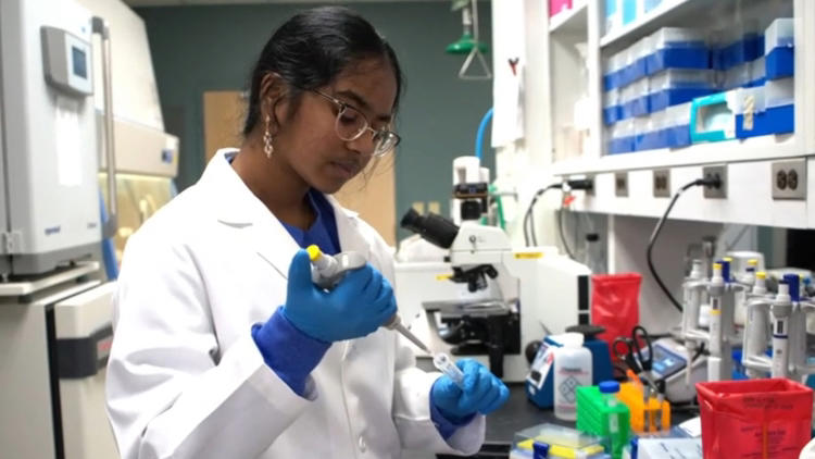 Arkansas scientists find rice compound may help slow aging