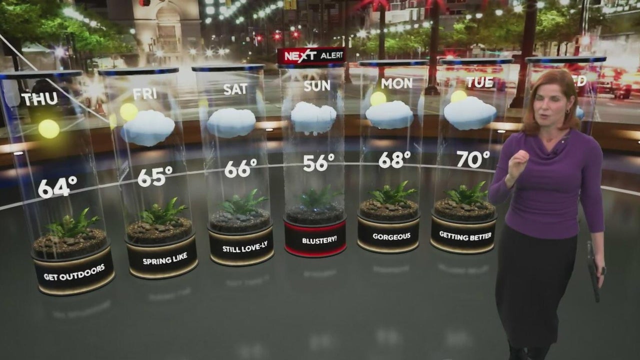 Sunny skies ahead: Georgia's weekend weather update & Valentine's Day ...