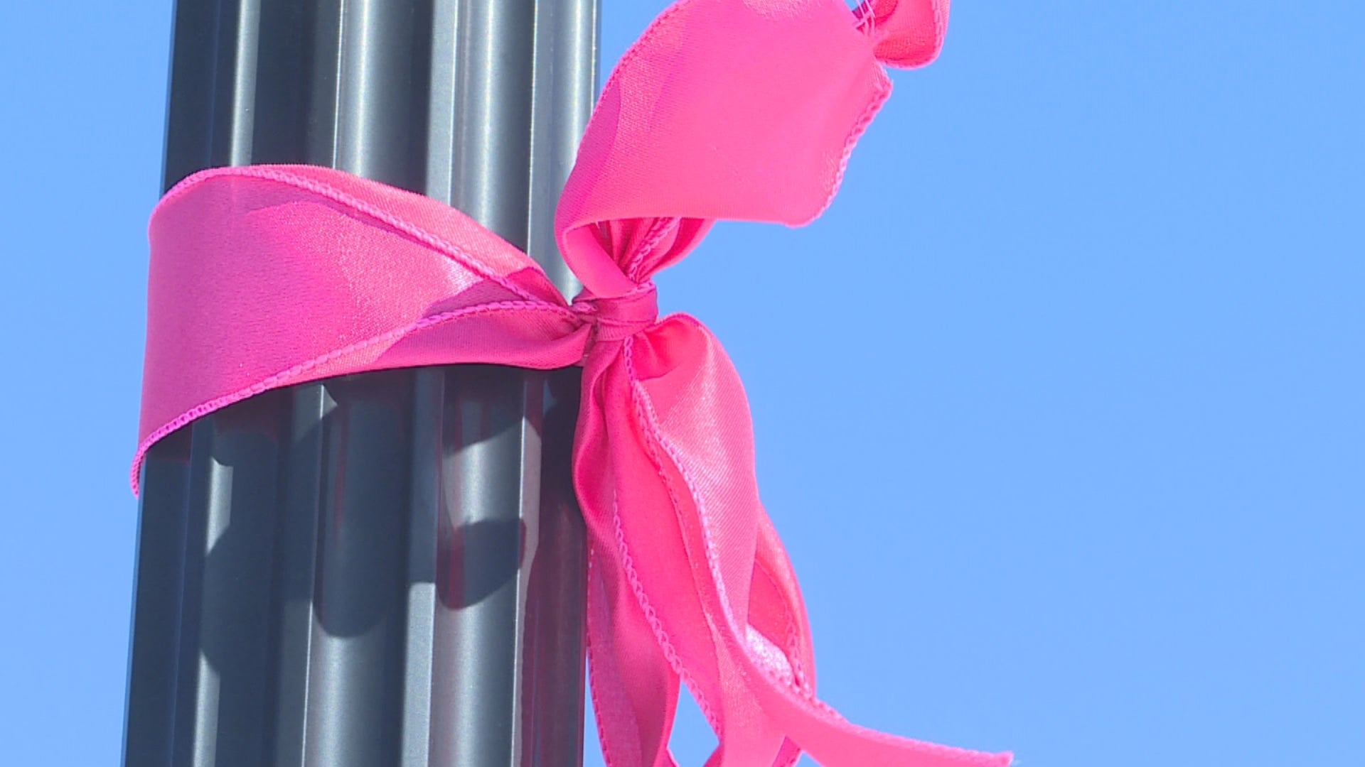 Nonprofit announces 'Pink with a Purpose Scholarship' in honor of ...