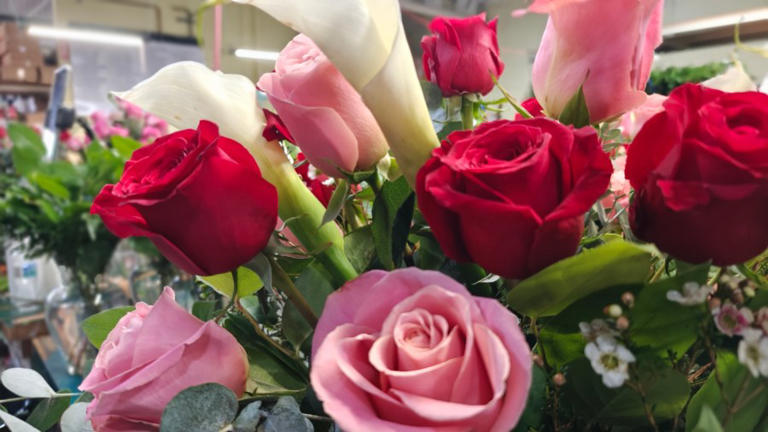 Red roses still big seller on Valentine’s Day despite increase in cost