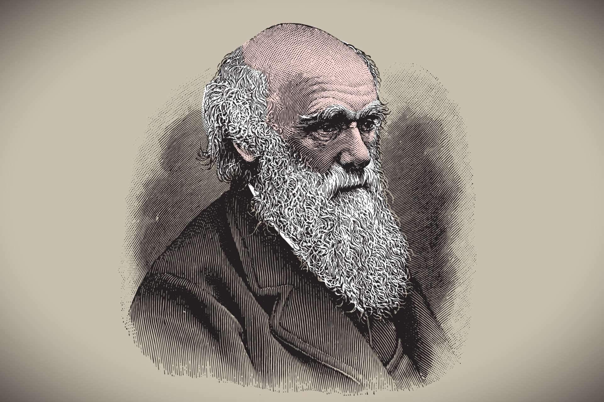 The evolutionary life of Charles Darwin