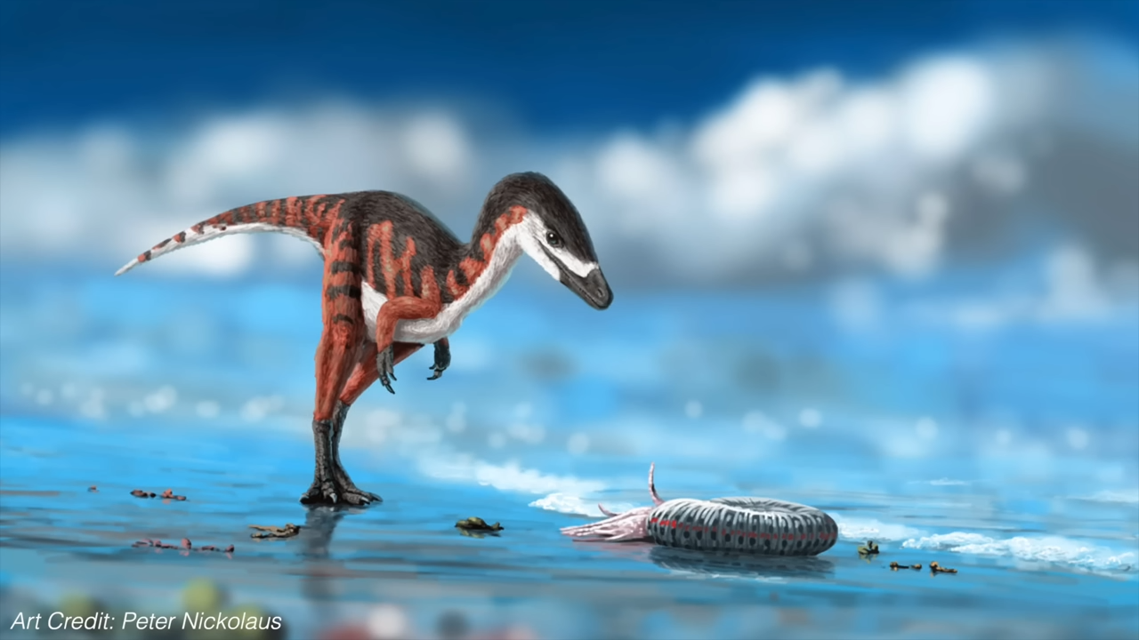 You're watching evolution wrong – wide-ranging claim explained