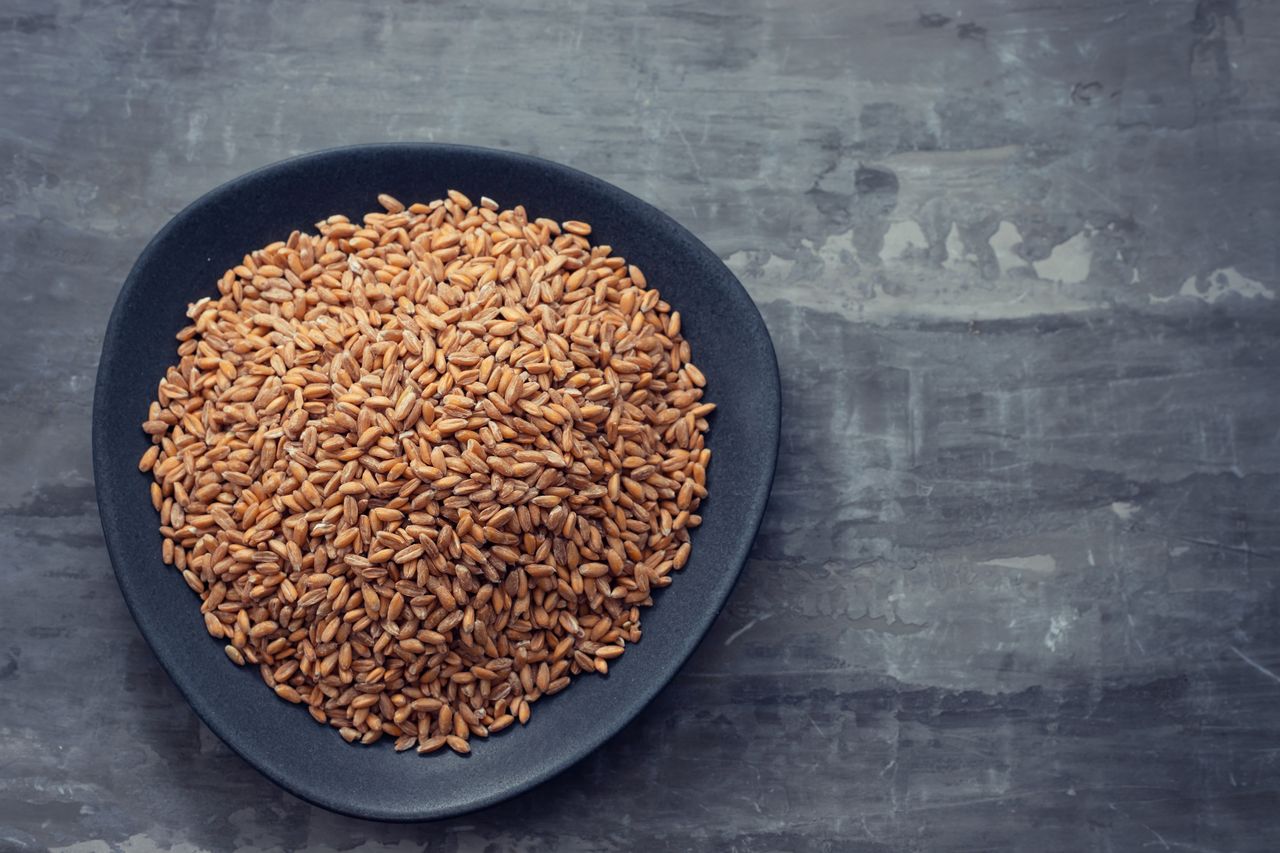 uncooked spelt on a black dish on a grey surface