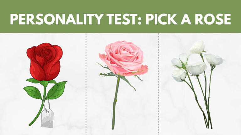Personality test: Pick a rose to discover how you handle stress
