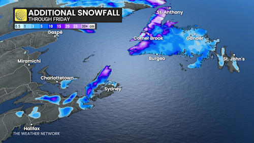 Another day of school closures as heavy snow hits Atlantic Canada