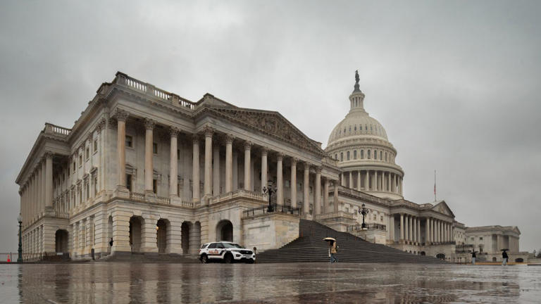 9 Republicans, 2 Democrats vie for redrawn Dallas-area congressional seat