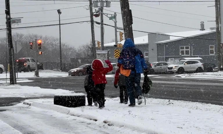 Another day of school closures as heavy snow hits Atlantic Canada