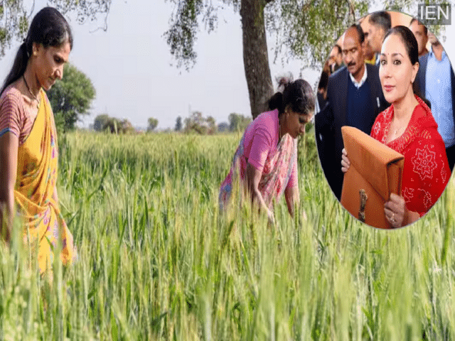 Which farmers' loans will be waived under the Rajasthan budget, and ...