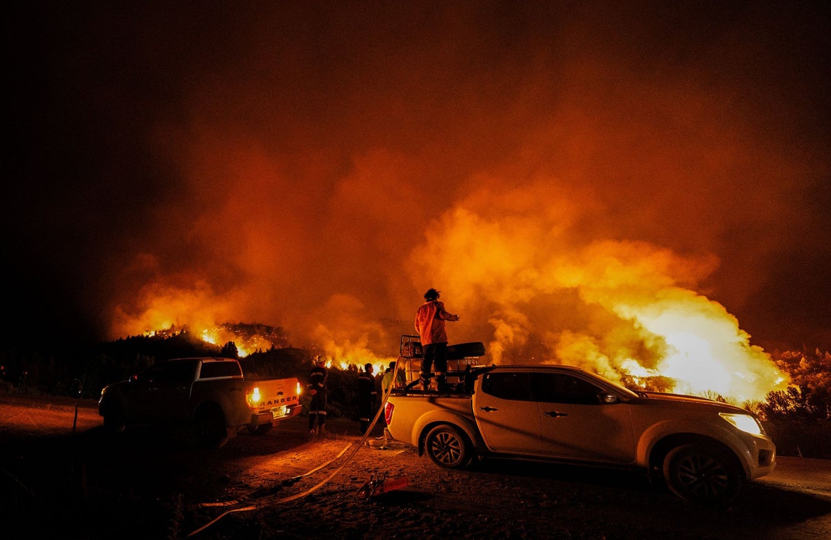 Scientists warn of risk of Earth becoming irreversible 'hothouse'